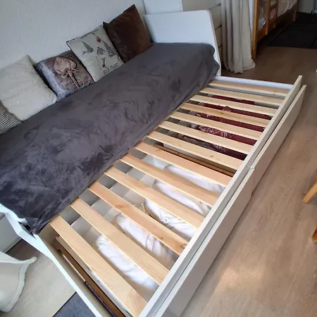 Le Nid Alpin Apartment Araches-la-Frasse